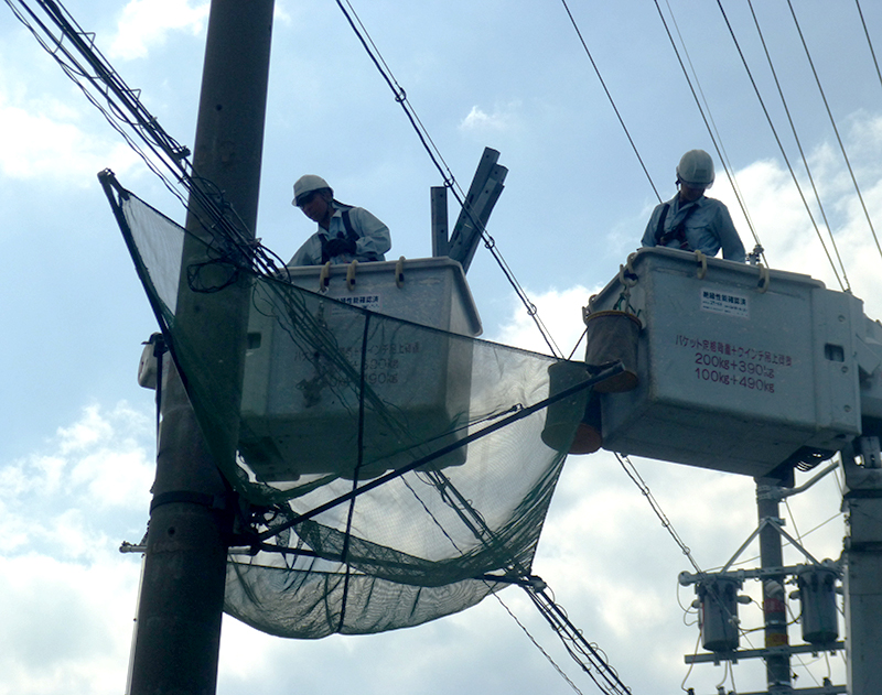 大平電気株式会社