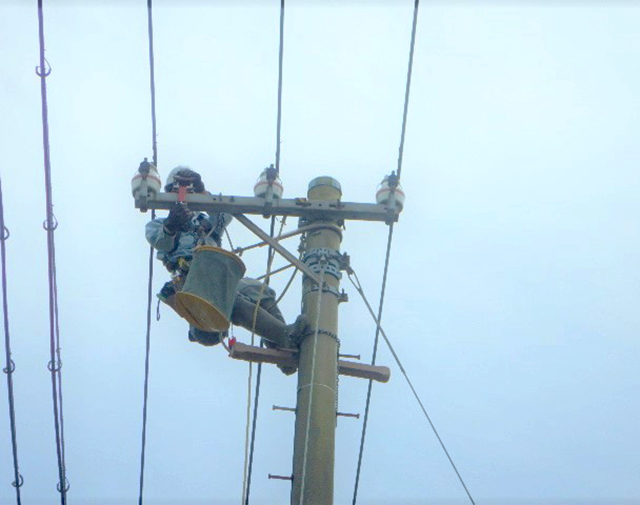 有限会社山田電気